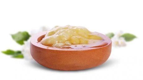 القيمة الطبية للغذاء الملكي