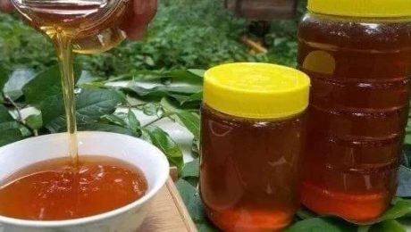 Como é o efeito do mel longan?