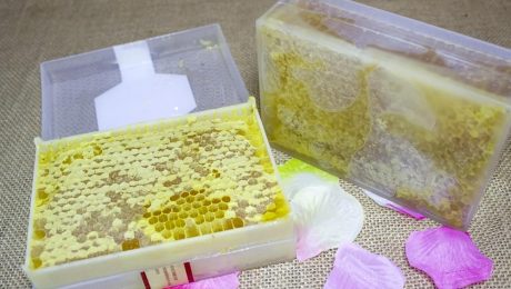 Edifício Hexagonal Das Abelhas Do Pente. Saudável! Natural!