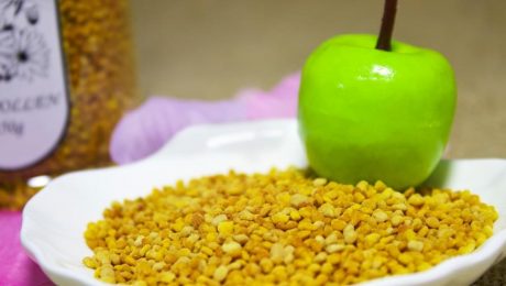 Levar você para o mundo do pólen de abelha