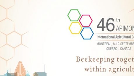 مؤتمر Apimondia الدولي 46 لتربية النحل