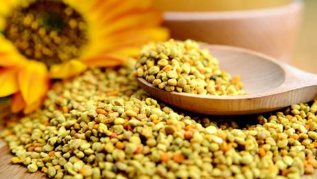 Saiba mais sobre o pólen de abelha obtido a partir do pólen natural.