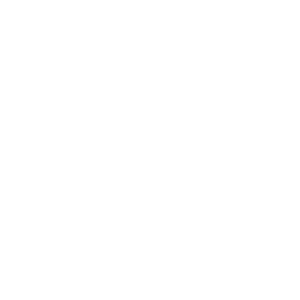 ТОРГОВЫЙ ПОТЕНЦИАЛ ТОРГОВЫЙ ПОТЕНЦИАЛ