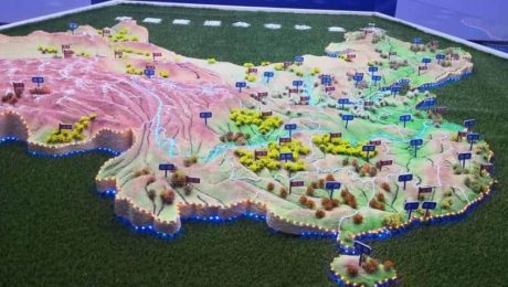 A viagem de Delee Honey para liberar abelhas