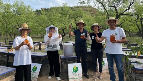 رحلة تربية النحل