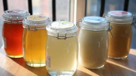 Como identificar o melhor mel