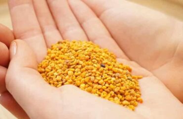 Membawa Anda untuk belajar tentang bee pollen Membawa Anda untuk belajar tentang bee pollen