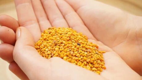 ビーポーレンの4つの機能と副作用