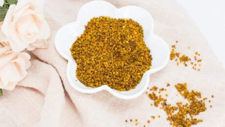 꿀벌 꽃가루의 비밀을 밝히다