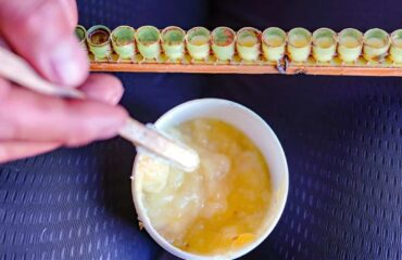 Panduan Bisnis Utama untuk Royal Jelly Panduan Bisnis Utama untuk Royal Jelly