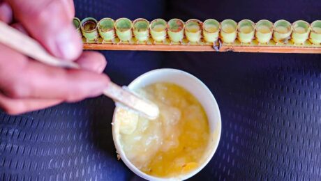 Royal Jelly에 대한 궁극의 비즈니스 가이드