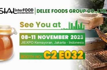 Ihr Tor zu den kulinarischen Köstlichkeiten Südostasiens!