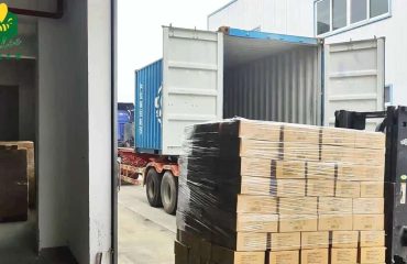 Miel premium de Año Nuevo enviada a Singapur