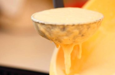 غذاء ملكات النحل هو غذاء النحل الخارق الذي يحمل أسرارًا قديمة غذاء ملكات النحل هو غذاء النحل الخارق الذي يحمل أسرارًا قديمة