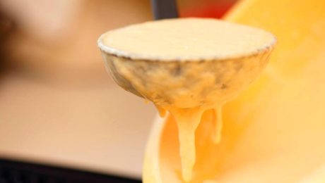 Mleczko pszczele to pożywienie dla pszczół, które kryje w sobie starożytne tajemnice