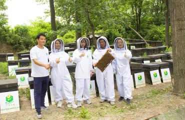 تقرير تطوير صناعة النحل والتكنولوجيا لعام 2023