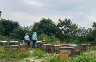 Delee Foods accueille chaleureusement nos précieux clients d'Afrique du Nord1