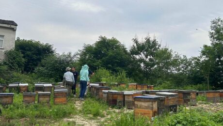 Delee Foods dengan hangat menyambut pelanggan kami yang berharga dari Afrika Utara1