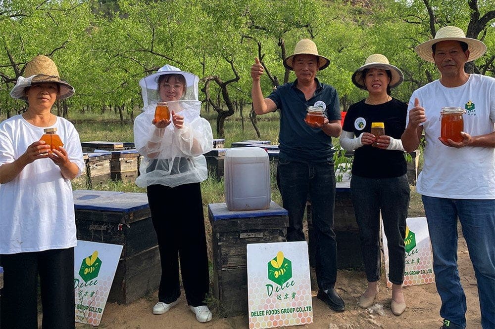 Ludzka krew – nowy miód Sidr