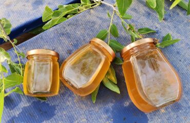 なぜナツメ蜂蜜は人々に愛と嫌悪をもたらすのか？