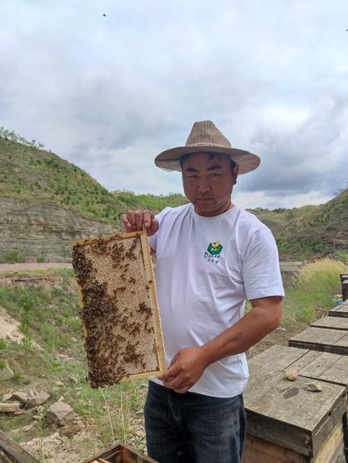 Warum ist teures Wabenmaterial immer noch so beliebt?