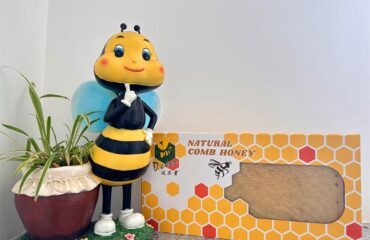 Сладкое лакомство из улья: натуральный сотовый мед