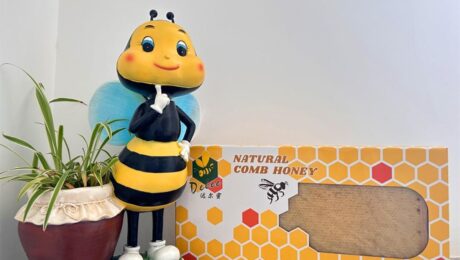 A Sweet Treat from the Hive:Madu Sisir Asli