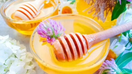 Kilang Sumber Madu Semanggi Terbesar di China