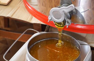 La douce science : le miel des abeilles chinoises et européennes