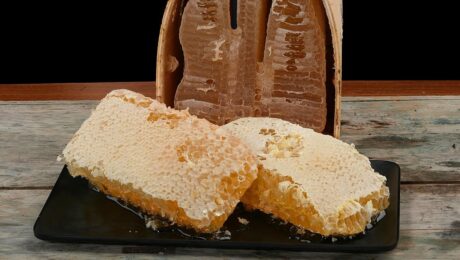 Discover the Exquisite Sidr Comb Honey A Premium Delight from Delee Foods Discover the Exquisite Sidr Comb Honey: A Premium Delight from Delee Foods