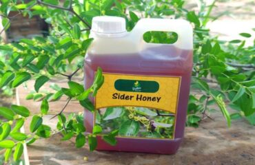 世界の蜂蜜規制：真正性と純度をめぐる戦い