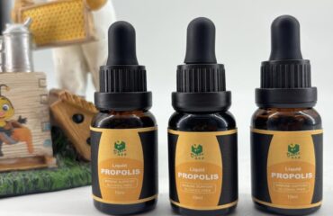 Раскрытие полезных свойств пчелиного прополиса