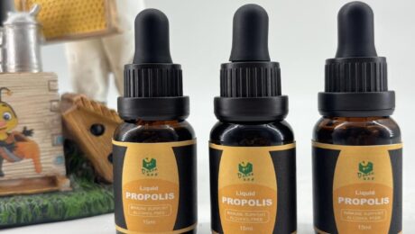 Раскрытие полезных свойств пчелиного прополиса