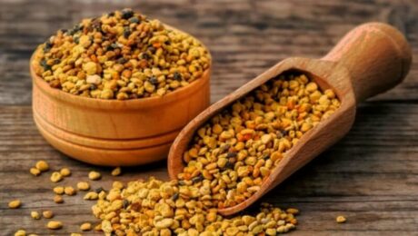 Delee Foods — ваш путь к высококачественным продуктам пчеловодства и силе пыльцы Delee Foods: ваш путь к высококачественным продуктам пчеловодства и силе пыльцы