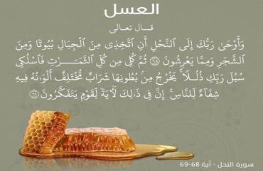 Święte znaczenie miodu i zaangażowanie Delee Foods w jakość Święte znaczenie miodu i zaangażowanie Delee Foods w jakość