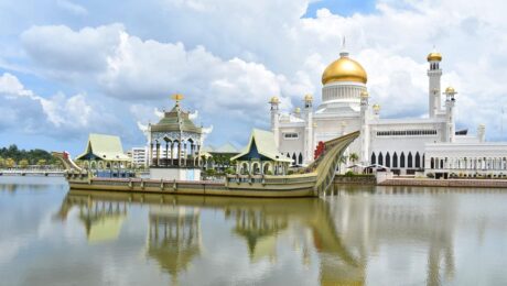 Delee Foods Group verschifft 2 Container mit reinem, natürlichem Polyflower-Honig nach Brunei Delee Foods Group verschifft 2 Container mit reinem, natürlichem Polyflower-Honig nach Brunei