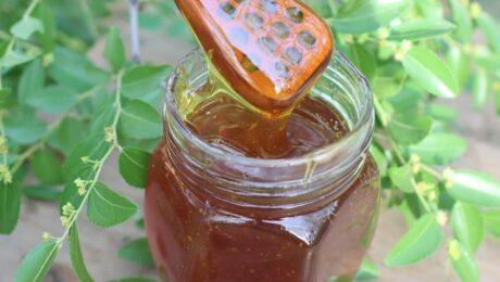 الدليل الشامل للمقارنة بين العسل اليمني والصيني