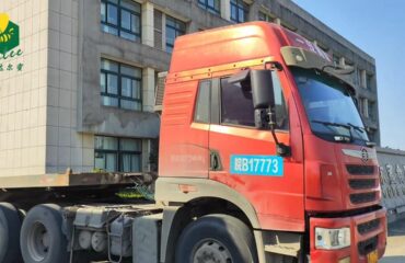 Naturhoniglieferant aus Saudi-Arabien | Die erfolgreiche Kooperationsgeschichte von Delee Foods mit Saudi-Arabien