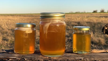 Ultimate Guide to Eucalyptus Honey: 5+ Surprising Benefits