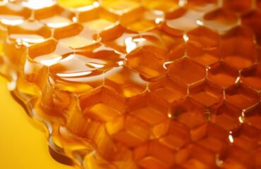 Markttrends und Rentabilität von Wabenhonig