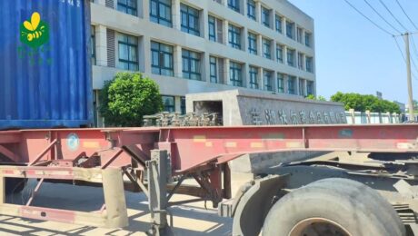 7 Reasons Delee Honey Reigns in Middle East Markets 7 Reasons Delee Honey Reigns in Middle East Markets