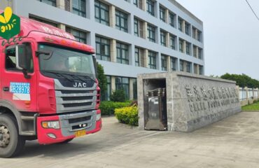 マレーシアへの蜂蜜輸送：3つの甘い小包が到着中