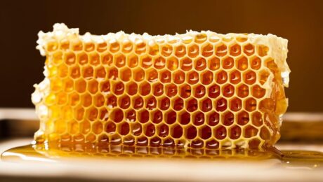 Odkryj 5 niesamowitych korzyści miodu pszczelego Delee Foods – Twój naturalny przysmak najwyższej jakości Odkryj 5 niesamowitych korzyści: Miód w plastrach Delee Foods – Twój naturalny przysmak najwyższej jakości