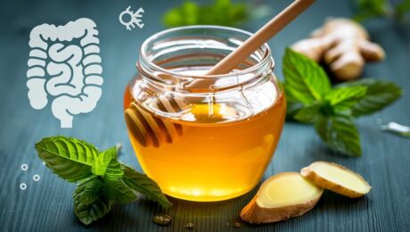 꿀과 장 건강: Delee Honey를 선택해야 하는 5가지 이유