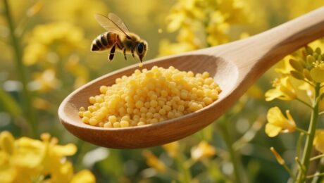 5 Alasan Teratas untuk Mencoba Serbuk Sari Rapeseed – Superfood Alami Delee 5 Alasan Teratas untuk Mencoba Serbuk Sari Rapeseed – Superfood Alami Delee