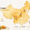 Chinese Honey producing regions map showing major floral variety origins