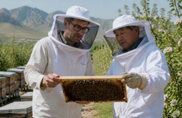 B2B 구매자가 Delee Honey 양봉장을 방문하여 벌통을 검사하고 공급업체의 관행을 직접 확인하는 모습입니다.
