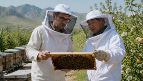 Um comprador B2B realizando uma Visita de Verificação de Fornecedor na fazenda de abelhas da Delee Honey, inspecionando colmeias e verificando as práticas do fornecedor em primeira mão.