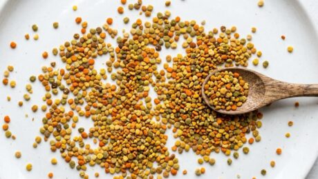 nutrisi-debunga-lebah-butiran-segar Nutrisi debunga lebah — butiran debunga lebah segar berwarna-warni di permukaan putih